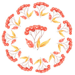 Watercolor autumn rowan wreath Red berries. High quality photo