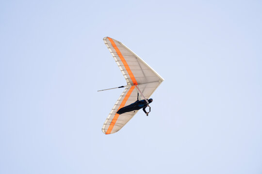 Pilot of a flexible wing hang glider with his body supported by a harness
