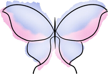 butterfly watercolor