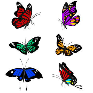 butterflySet of bright butterflies isolated on transparent background.