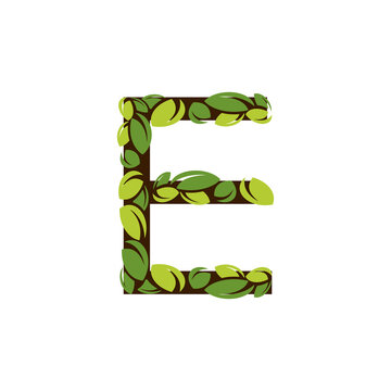 Letter E made from green leaves on a white background. Isolated tree in the shape of the letter E with green leaves vector illustration