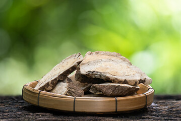 Dried dregea volubilis  woods on nature background.