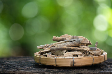 Alyxia reinwardtii Blume woods on nature background.