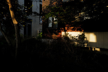 old house in the night