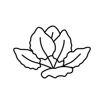 tiger lotus line icon vector illustration