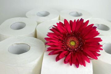 red gerbera toilet paper rolls, rose flower hygienic 3 ply toilet paper, personal care, soft...