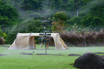 Nature at the campsite with morning dew © Diamon jewelry