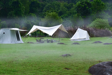 Nature at the campsite with morning dew