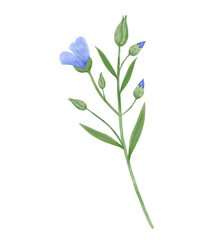 Blue flowers watercolor flax illustration.