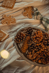 Still life in vintage style in dark colors with Christmas cones and gingerbread, with festive lights