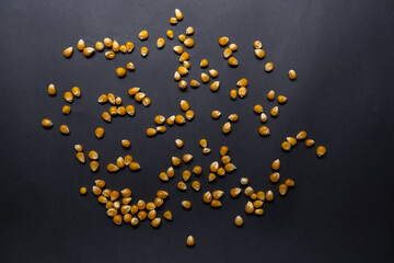 Scattered corn kernels isolated on black background, corn concept idea photo.