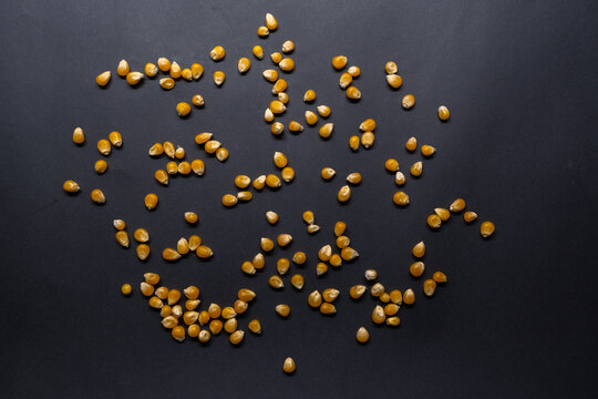 Scattered Corn Kernels Isolated On Black Background, Corn Concept Idea Photo.