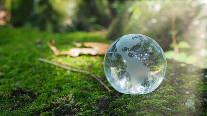 Environment concept of Crystal globe with sunlight resting on moss in a forest