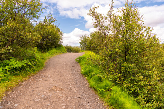 easy hiking trail with green bushes on the right and left, near Hraunfoss waterfall, Iceland