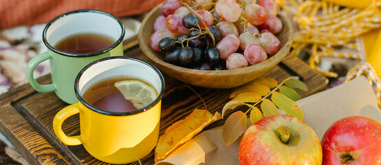 Tea cups, fruits and grapes on plaid in park. Autumn picnic on nature. Cozy autumn outdoor concept.