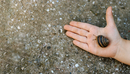 Snail in the hand of a child. Copy space. Moments of childhood. Concrete background