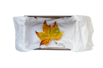 Opened shoes box with crumpled wrapping paper and yellow autumn leaf stop view isolated transparent png