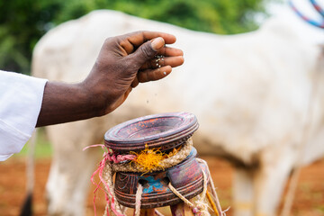 Close up shot of farmer hand adding grains or seeds to funnel for sowing while harvesting - concept...
