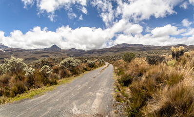 Images of green lake and we stop them in Los Andes. Lagoon located in the natural national park Los Nevados in Manizales Caldas Colombia.