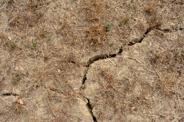 Cleft on dried out ground