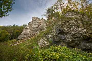 Autumn landscape. A rock in an autumn forest