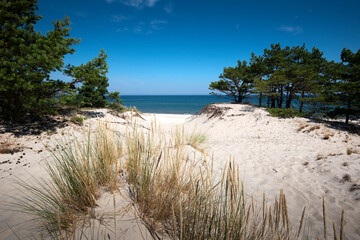Baltic Sea. Beautiful beach, coast and dune on the Hel Peninsula. Piękne plaże półwyspu helskiego z widokiem na wydmę, roślinność wydmową, piasek i morze bałtyckie.  Okolice Helu i Juraty 
 - obrazy, fototapety, plakaty