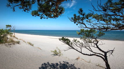 Baltic Sea. Beautiful beach, coast and dune on the Hel Peninsula. Piękne plaże półwyspu helskiego z widokiem na wydmę, roślinność wydmową, piasek i morze bałtyckie.  Okolice Helu i Juraty 
