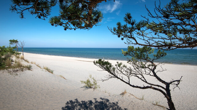 Baltic Sea. Beautiful beach, coast and dune on the Hel Peninsula. Piękne plaże p&oacute;łwyspu helskiego z widokiem na wydmę, roślinność wydmową, piasek i morze bałtyckie.  Okolice Helu i Juraty 
