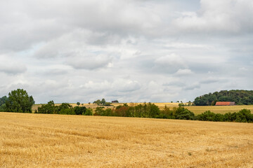 Clouded farmland scenery