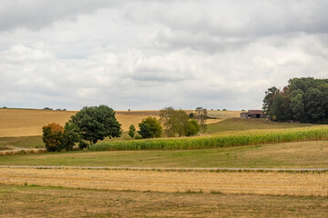 Overcast farmland scenery