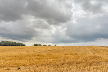 Stormy farmland scenery