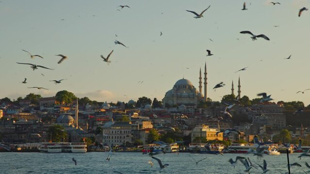 View of Hagia Sophia in Turkey, 6k