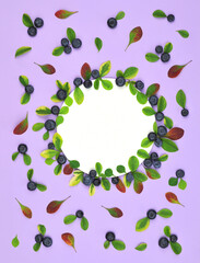 White round frame mockup made of blueberries and green ,yellow , red barberry leaves on lavender color background .Top view, flat lay. Place for your text