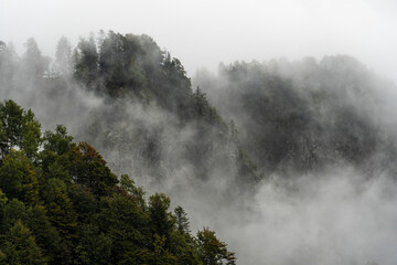 Dark trees on cliffs peaking out of fog in Val Grande, Italy