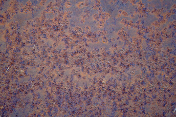 Texture of old rusty iron sheet steel for background and design