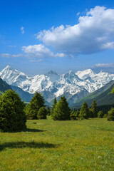 Fototapeta premium landscape of forest and snow peak