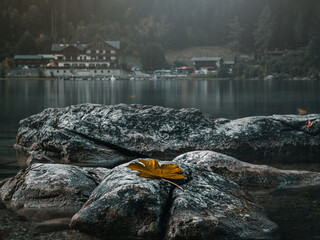 Herbstliche Stimmung