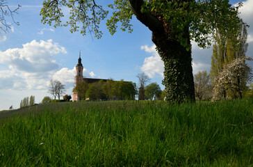Fototapeta na wymiar Die Klosterkirche von Birnau am Bodensee, im Frühling zur Obstbaumblüte.