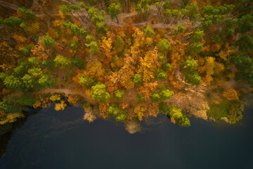 Drone view of colorful top of the forest and a lake at Autumn