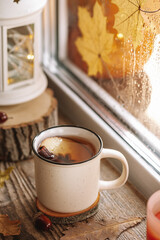  Mug of hot tea with apple and cinnamon on the autumn window. Autumn and fall cozy vertical postcard 
