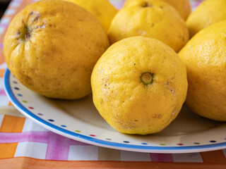 Close up of organic lemons in a colorful dish, on top of a table. Useful as a floral background.