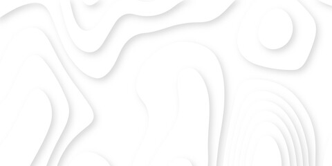 abstract Luxury paper cut background, Abstract decoration, white pattern and golden lines gradients, 3d Vector illustration, topographic canyon map light relief texture, curved layers.