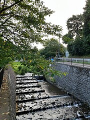 bridge in the park