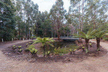 Gallipoli Park Marysville in Australia