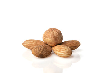 Almonds and hazelnuts arranged in flower shape isolated on white background.