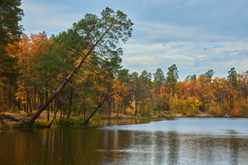 landscape with colorful forest. Solar amber paysage. Indian summer landscape. Colorful foliage over lake with beautiful woods in red and yellow color. Autumnal forest reflected in water.