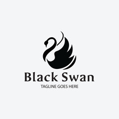 Black swan design template. Vector illustration