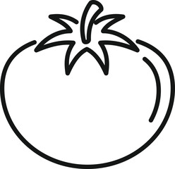 Gmo tomato icon outline vector. Dna food