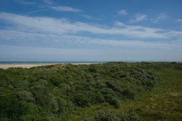 Poster de jardin Mer du Nord, Pays-Bas Tour à vélo dans les dunes de la mer du Nord à Renesse, Pays-Bas
