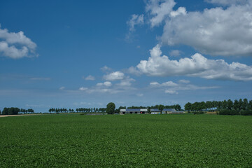 Dutch wide open rural landscape with farm. The Netherlands.